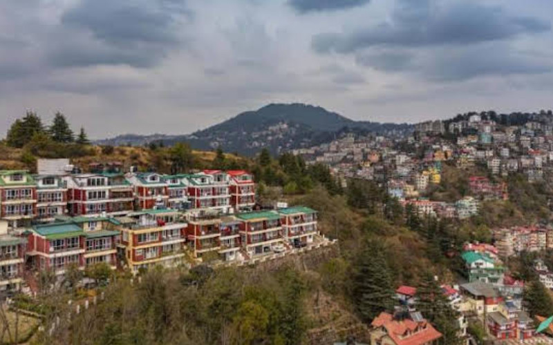 Zostel Homes Shimla - Himachal Pradesh