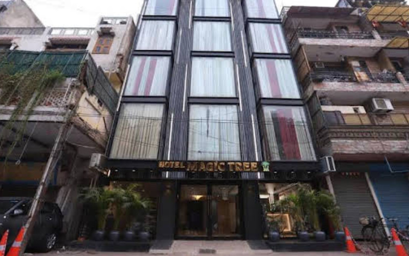 Hotel The Magic Tree, New Delhi - Delhi