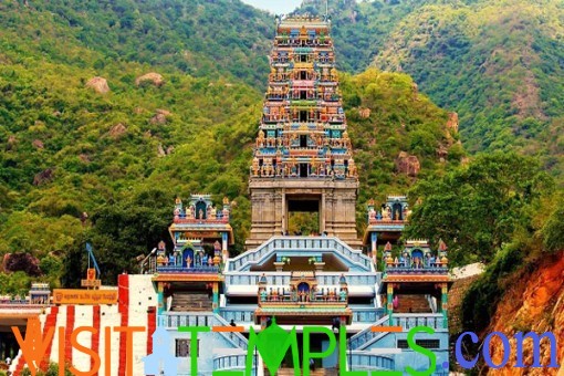 Sri Karthikeya Swamy Temple, Chandigarh, Haryana