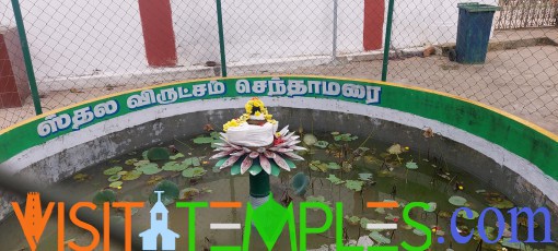 Arulmigu Pushparatheswarar Temple, Gnayiru, Ponneri Taluk, Tamil Nadu