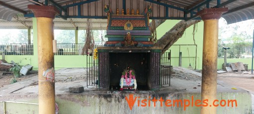 Arulmigu Eka Nayakar Temple, Pennadam Road, Virudhachalam, Tamil Nadu