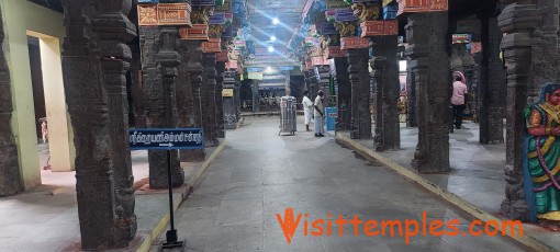 Arulmigu Naganathaswamy Temple  or Rahu Temple, Thirunageswaram, Tamil Nadu