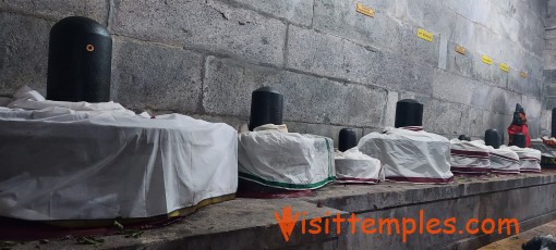 Arulmigu Vadaranyeswarar Temple, Thiruvalangadu, Near Thiruvallur, Tamil Nadu