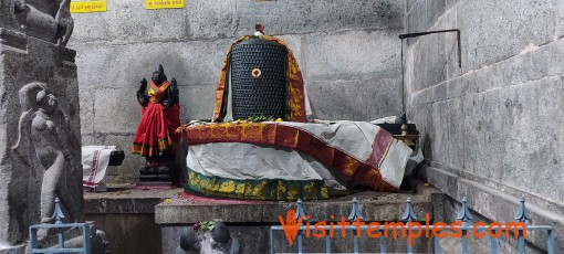 Arulmigu Vadaranyeswarar Temple, Thiruvalangadu, Near Thiruvallur, Tamil Nadu