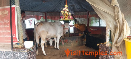 Sri Bala Tripura Sundari Temple, Surya Rao Peta, Kakinada, Andhra Pradesh