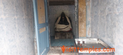 Sri Viswanatha Swamy Temple, Thepperumanallur, Thanjavur District, Tamil Nadu