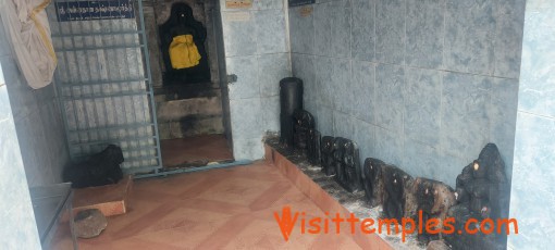 Sri Viswanatha Swamy Temple, Thepperumanallur, Thanjavur District, Tamil Nadu