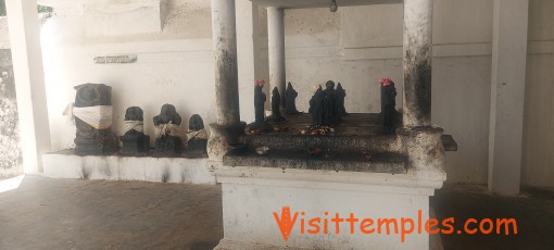 Parithiappar Temple or Bhaskareswarar Temple,  Parithiappar Koil, Near Orathanadu, Thanjavur District, Tamil Nadu