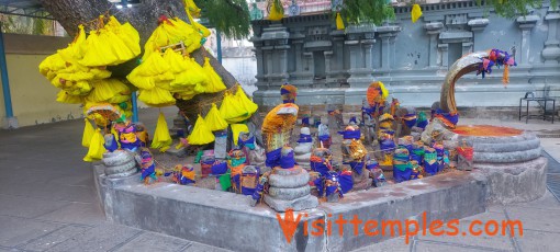 Sri Seshapureeswarar or Sri Pampuranathar Temple, Thirupampuram, Near Kudavasal, Tamil Nadu