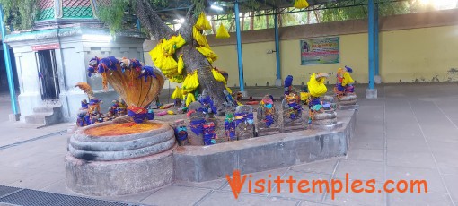 Sri Seshapureeswarar or Sri Pampuranathar Temple, Thirupampuram, Near Kudavasal, Tamil Nadu