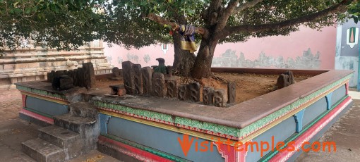 Sri Damodhara Narayana Perumal Temple, Thirukannangudi, Nagapattinam District, Tamil Nadu