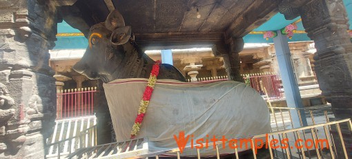 Sri Chandramouleeswarar Temple or  Sri Vakra Kali Amman Temple,  Thiruvakkarai, Tamil Nadu