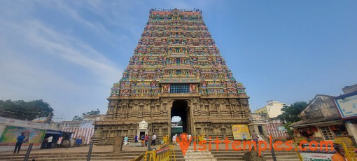 Sri Kasi Viswanathar Temple, Tenkasi, Tamil Nadu