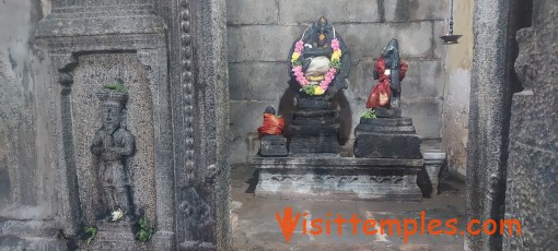 Sri Kasi Viswanathar Temple, Tenkasi, Tamil Nadu