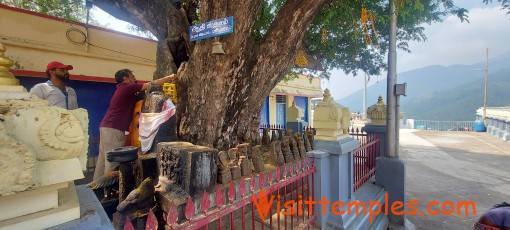 Arulmigu Thirumalai Kumaraswamy Temple, Panpoli, Near Tenkasi, Tamil Nadu