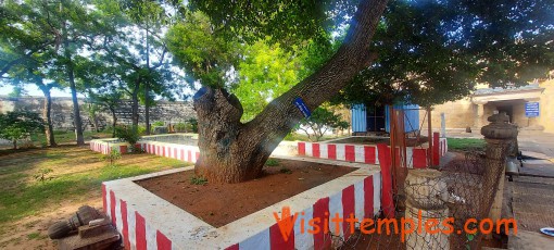 Sri Thirumarainathar Temple, Thiruvathavur, Near Madurai, Tamil Nadu