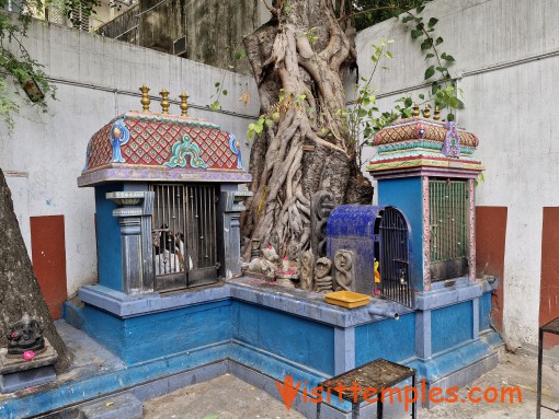 Sri Veerabhadra Swami Temple, Mylapore, Chennai, Tamil Nadu