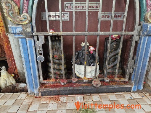 Arulmigu Pidari Ilan Kaliamman Temple, Saidapet, Chennai, Tamil Nadu