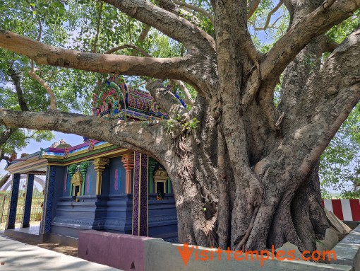 Sri Chelliyamman Temple, Sogandi, Near Sunguvarchatram, Tamil Nadu
