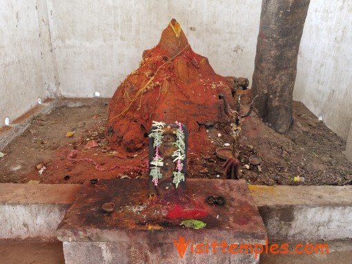 Sri Mannareeswarar Pachaiamman Temple, Minjur, Tamil Nadu
