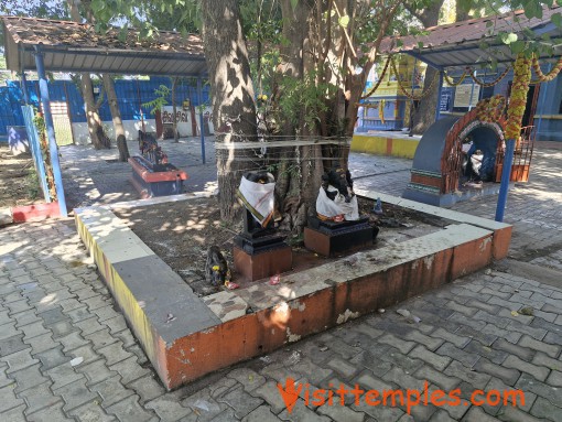 Sri Velleeswarar Temple, Manapakkam, Chennai, Tamil Nadu