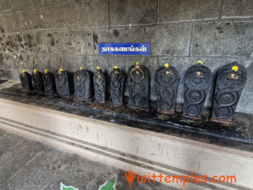 Sri Vedapureeswarar Temple, Cheyyar, Tiruvannamalai District, Tamil Nadu