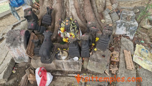 Sri Bhakthavatsala Perumal Temple, Cheranmahadevi, Thirunelveli District, Tamil Nadu