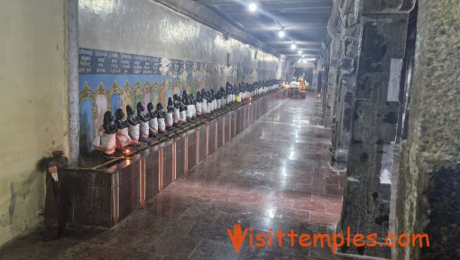 Sri Arthanareeswarar Temple, Vasudevanallur, Tenkasi District, Tamil Nadu