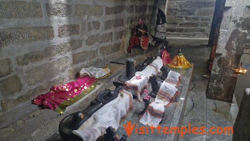 Sri Arthanareeswarar Temple, Vasudevanallur, Tenkasi District, Tamil Nadu