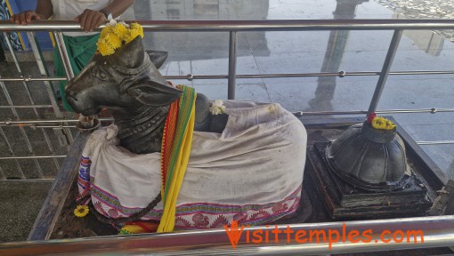 Sri Thirupandi Kodumudinathar Temple, Salai, Elavur, Thiruvallur District, Tamil Nadu