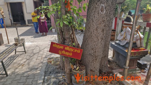 Sri Poorimara Thava Muneeswarar Temple, Kattupakkam, Near Poonamallee, Chennai, Tamil Nadu 