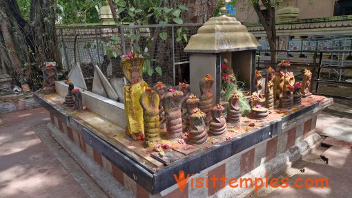 Arulmigu Kasi Viswanathar Temple, West Mambalam, Chennai, Tamil Nadu