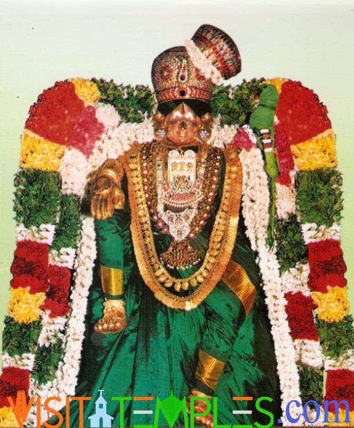 Srivilliputhur Andal Temple, Srivilliputhur, Virudhunagar District, Tamil Nadu