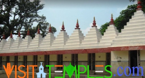 Narsingha Sthan Temple, Barkagaon, Hazaribagh District, Jharkhand