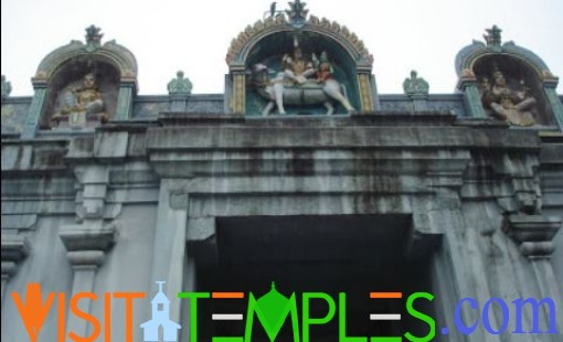 Arulmighu Patanjali Manohar Temple, Vilamal, Thiruvarur District, Tamil Nadu