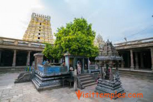 Sri Ekambareswarar Temple, Kanchipuram, Tamil Nadu