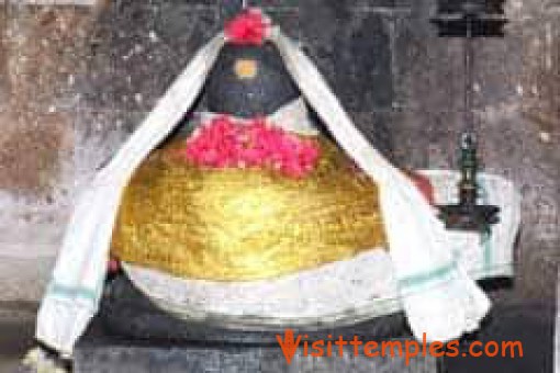 Sri Neelakandeswarar Temple, Iluppaippattu, Mayiladuthurai District, Tamil Nadu