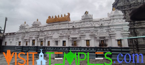 Sri Kurmanatha Swamy Temple, Srikurmam, Srikakulam, Andhra Pradesh