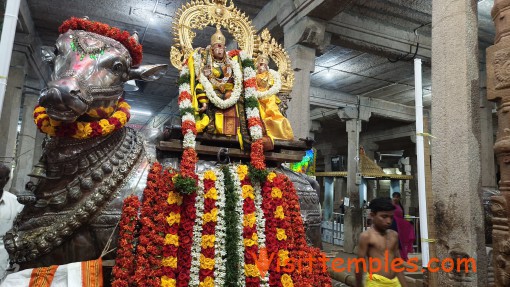 Boominathar Temple or Bhoominatha Swamy Temple, Veeravanallur, Thirunelveli District, Tamil Nadu