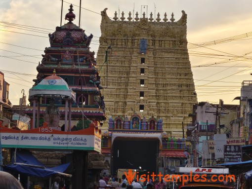 Arulmigu Sankaranarayanaswamy Temple, Sankarankovil, Tenkasi District,  Tamil Nadu