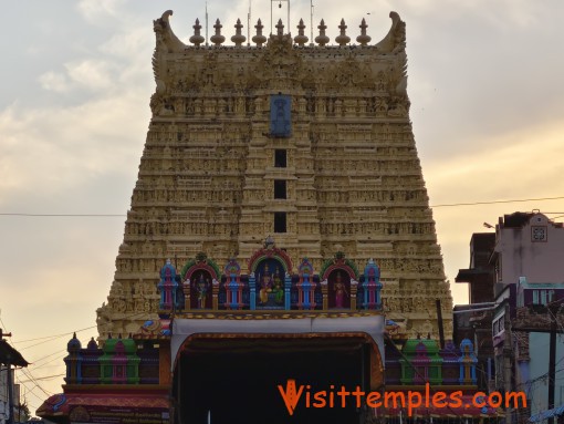 Arulmigu Sankaranarayanaswamy Temple, Sankarankovil, Tenkasi District,  Tamil Nadu