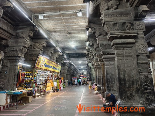 Arulmigu Sankaranarayanaswamy Temple, Sankarankovil, Tenkasi District,  Tamil Nadu