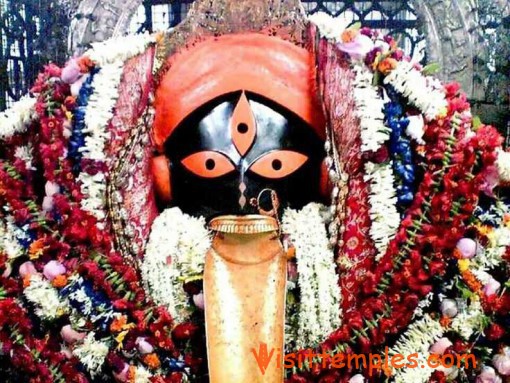 Kalighat Kali Temple, Anami Sangha, Kalighat, Kolkata, West Bengal