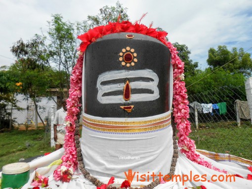 Sri Vidya Vineetha Pallava Parameswarar Temple, Kooram, Kanchipuram District, Tamil Nadu