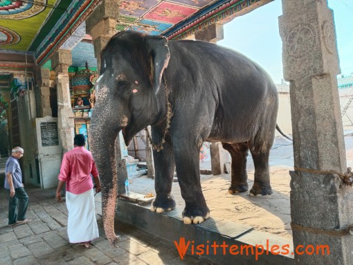 Arulmigu Aadhi Kumbeswarar Temple, Kumbakonam, Tamil Nadu