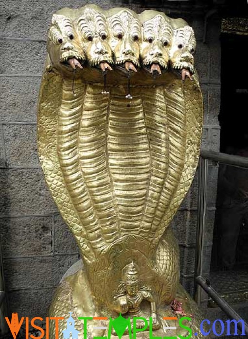 Arulmigu Nagaraja Swami Temple, Nagercoil, Tamil Nadu