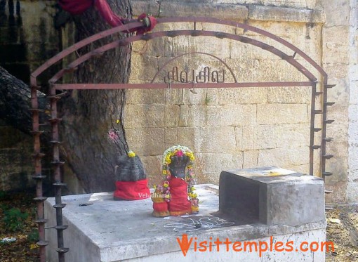 Panchavarnaswamy or Panchavarneswarar Temple,  Woraiyur, Tiruchirappalli, Tamil  Nadu