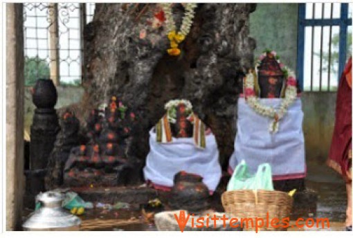 Devi Mangalambigai Samedha Vamsotharakar Temple, Perungalur, Pudukkottai District, Tamil Nadu