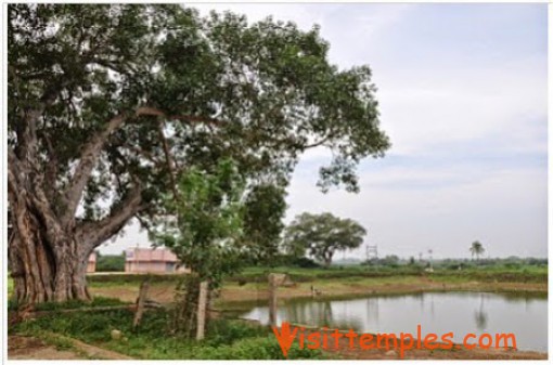 Devi Mangalambigai Samedha Vamsotharakar Temple, Perungalur, Pudukkottai District, Tamil Nadu