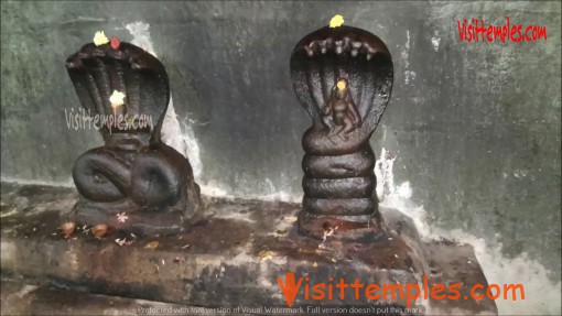 Arulmigu Nageswara Swamy Temple, Kundrathur, Chennai, Tamil Nadu